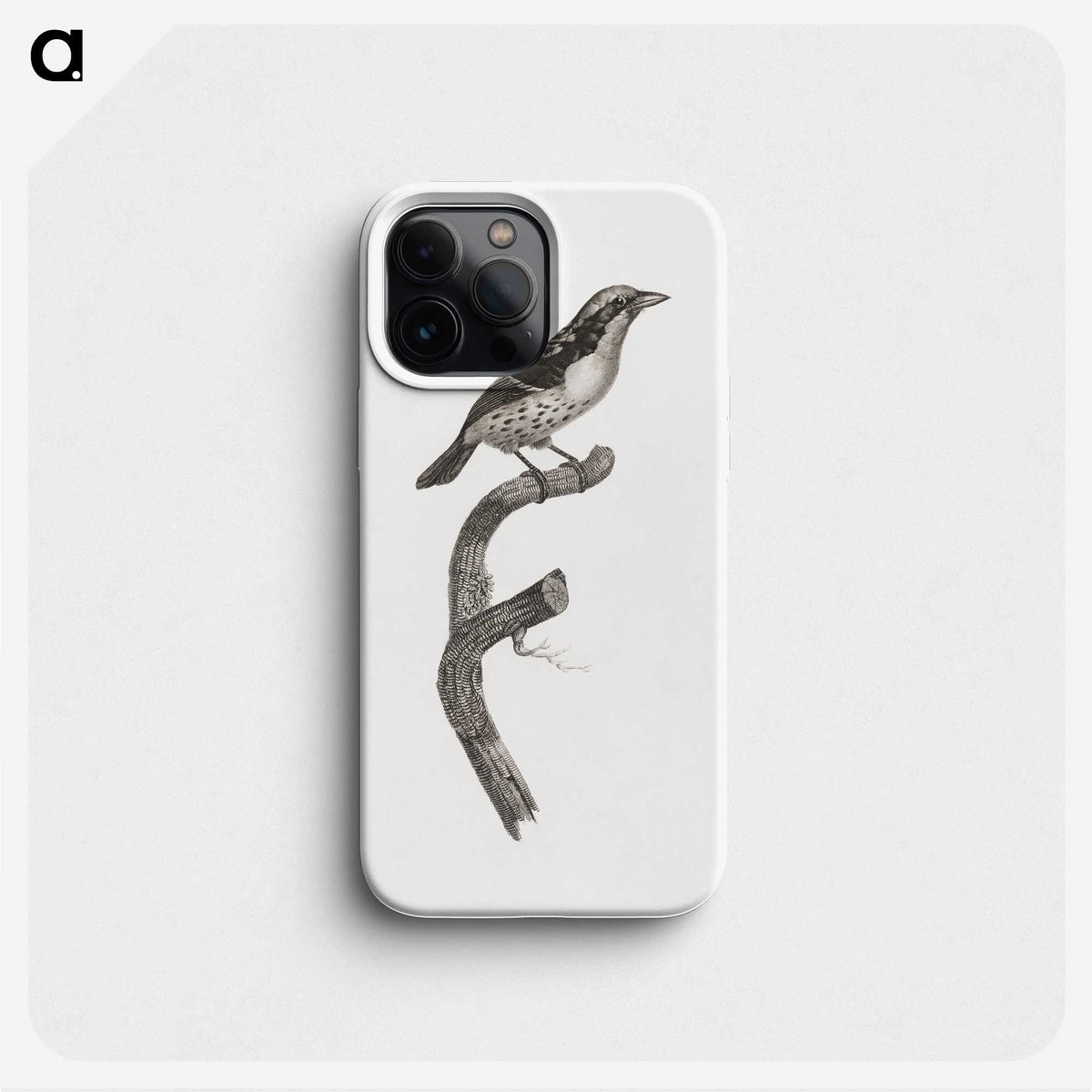 2-3_Des-Oiseaux-de-Paradis_phone