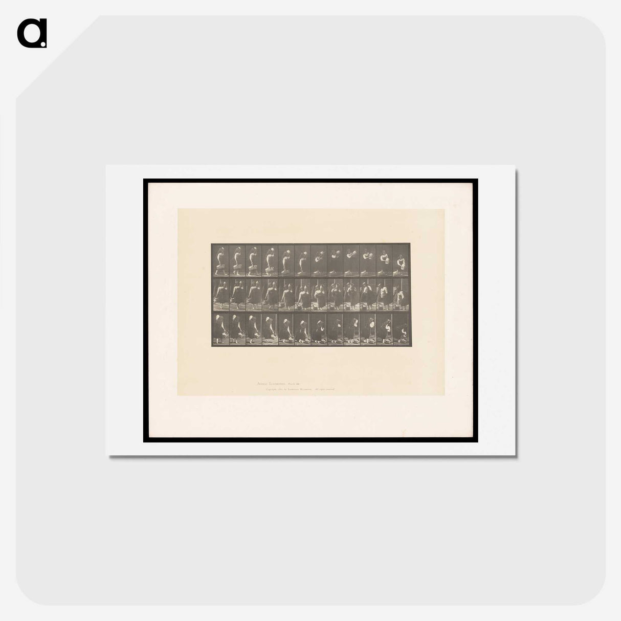 2-3_Eadweard-Muybridge_hagaki