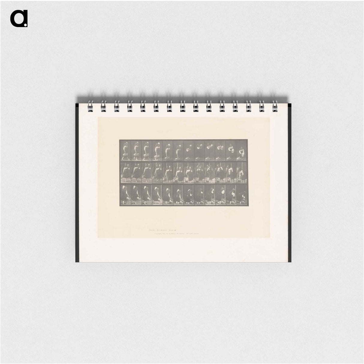 2-3_Eadweard-Muybridge_memo