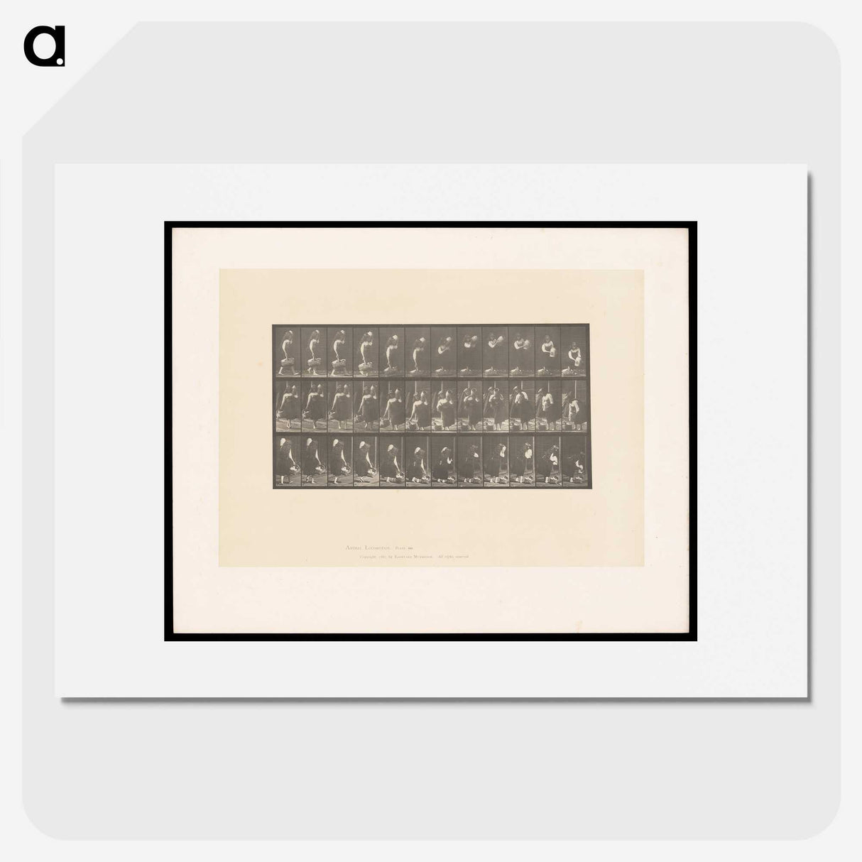 2-3_Eadweard-Muybridge_picture