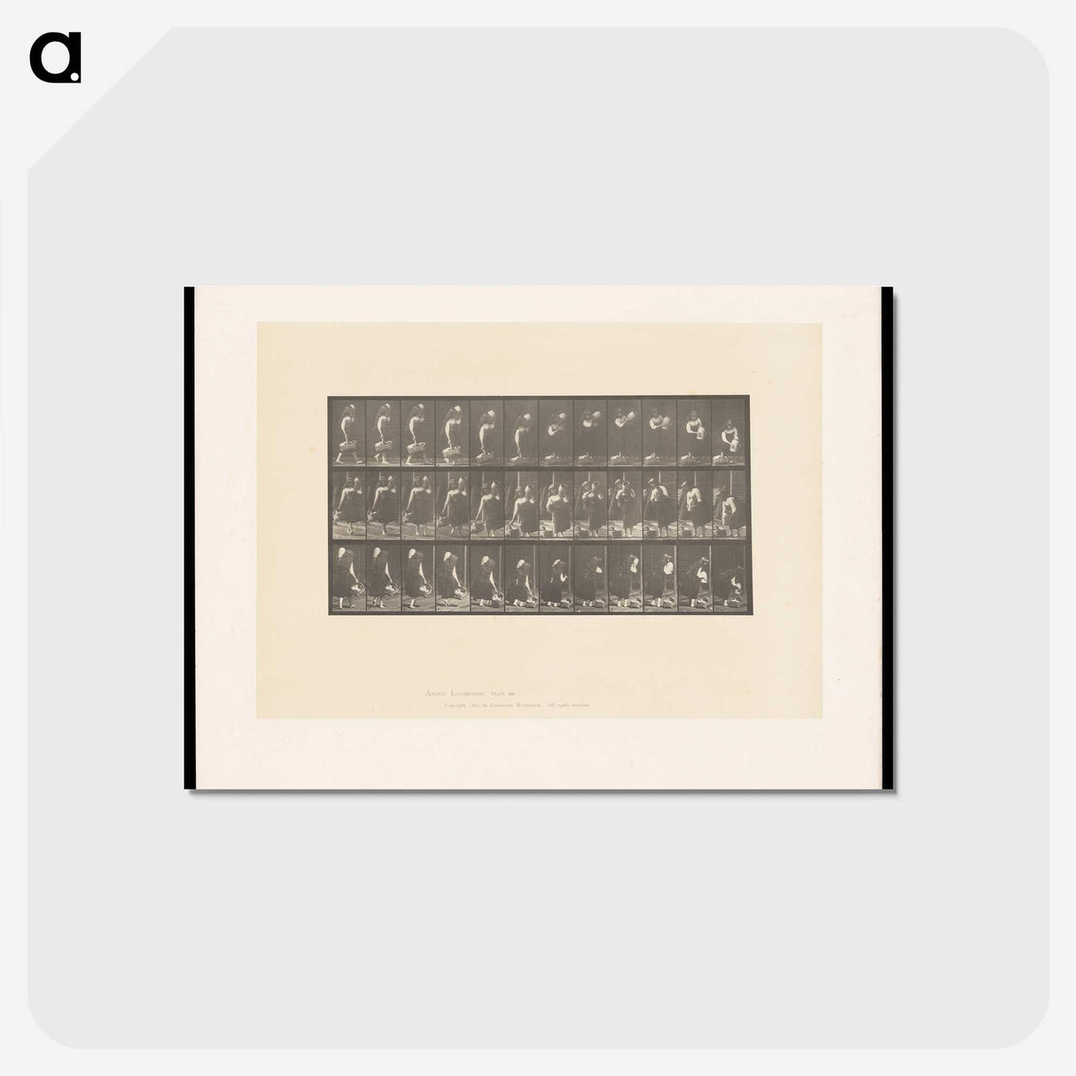 2-3_Eadweard-Muybridge_postcard
