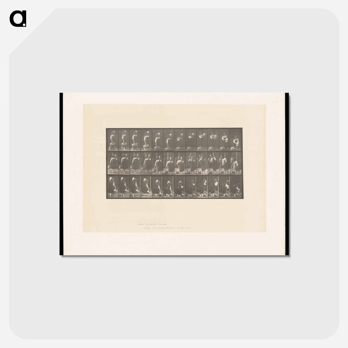 アートポストカード-Woman with Basket and Jar
- エドワード マイブリッジ Postcard.