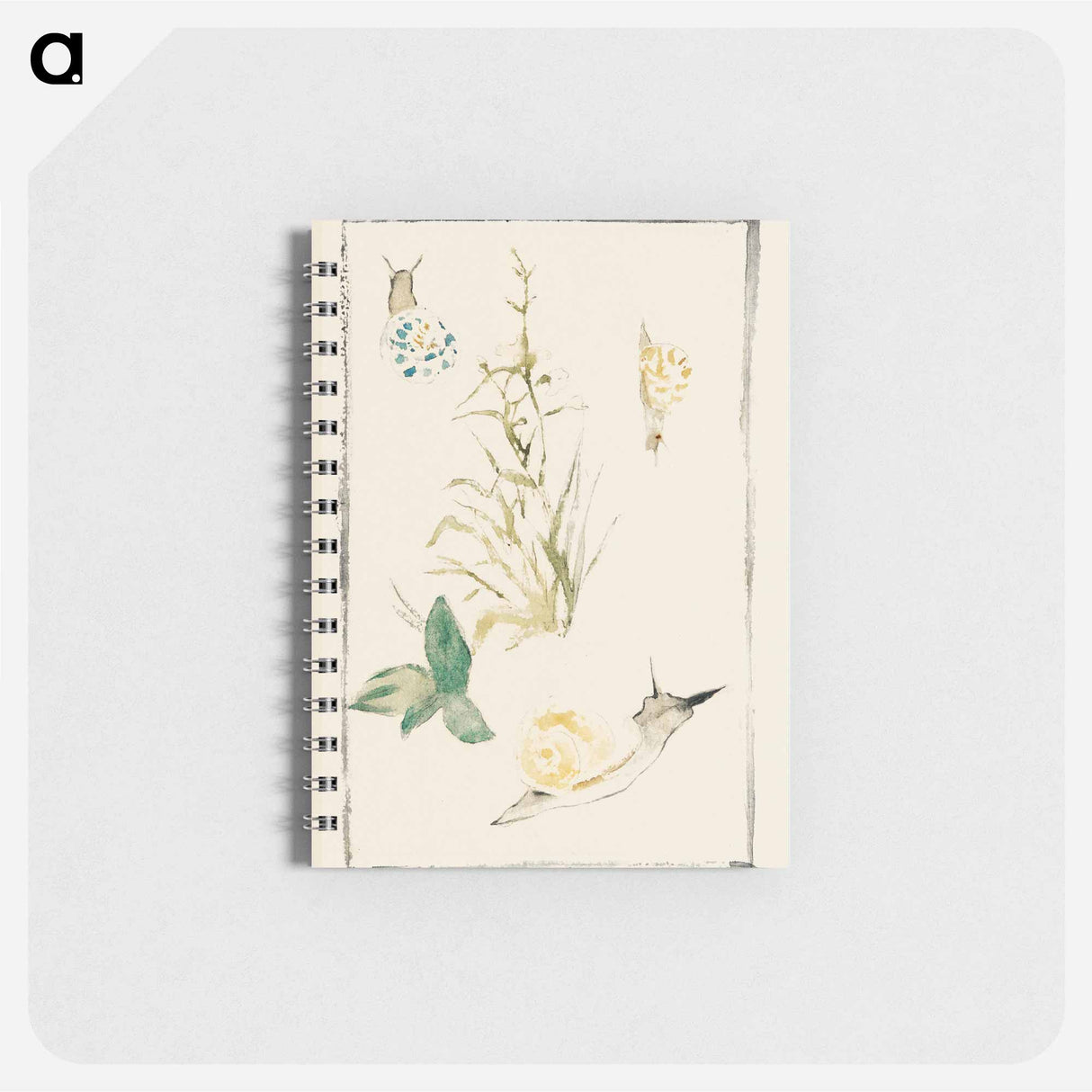 Sketches of Snails, Flowering Plant - エドゥアール マネ Memo.