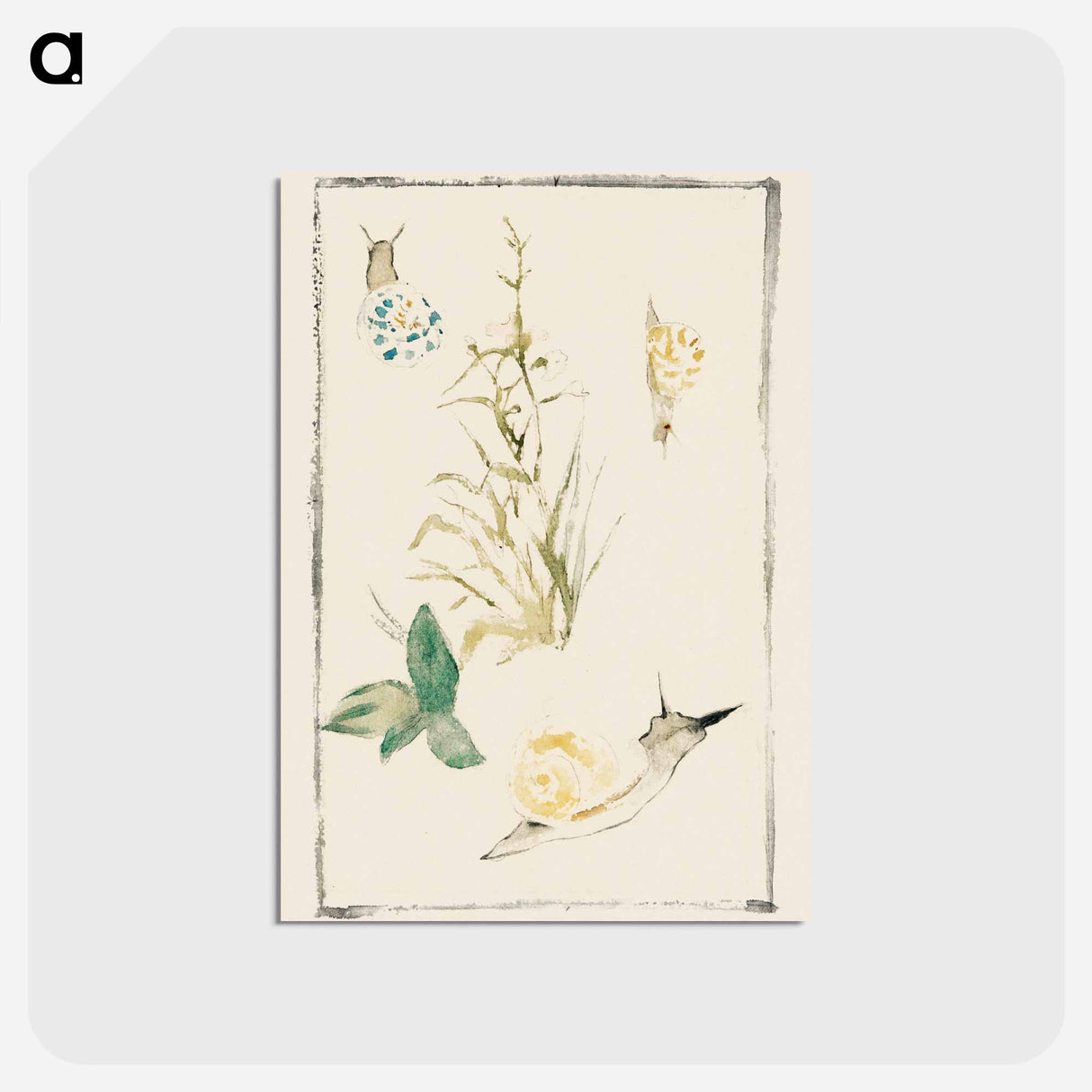 アートポストカード-Sketches of Snails, Flowering Plant - エドゥアール マネ Postcard.