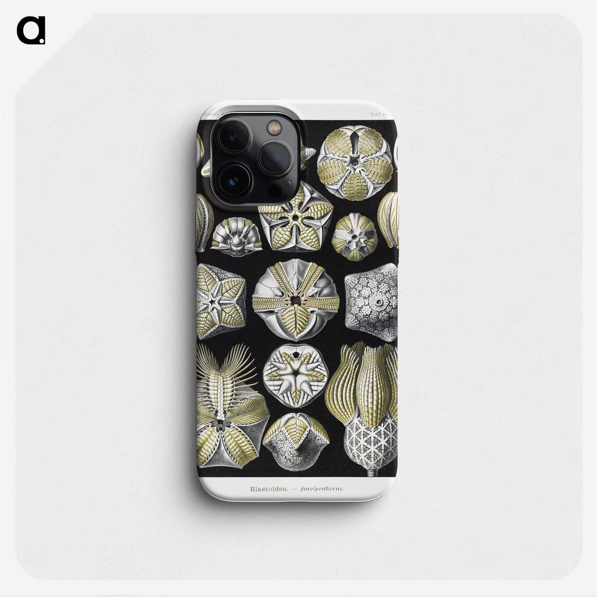 2-3_Ernst-Haeckel_phone