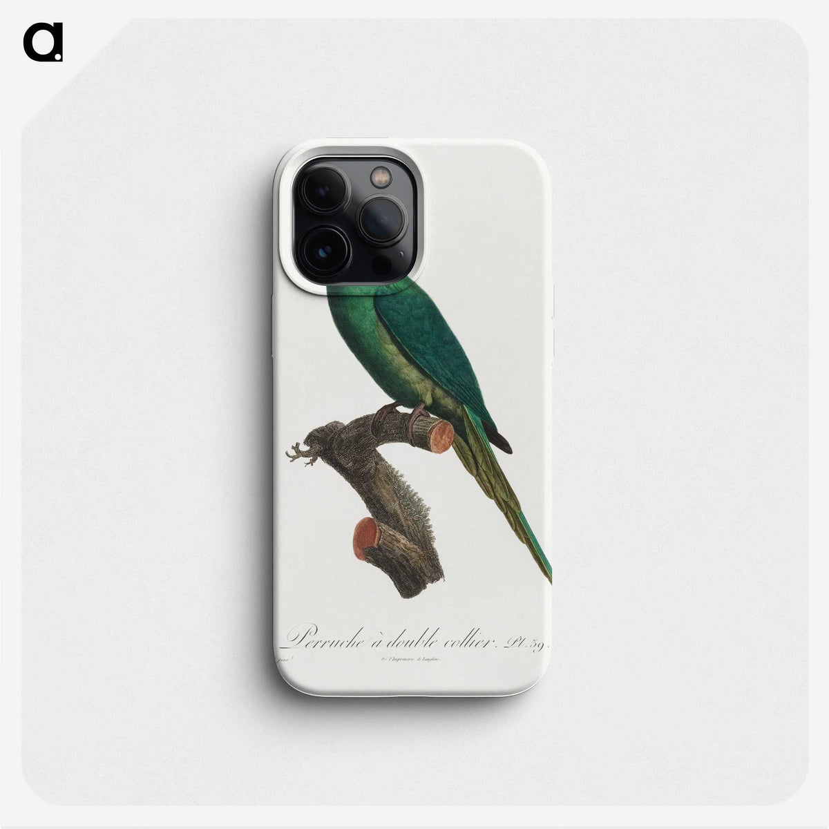 2-3_Francois-Levaillant_phone