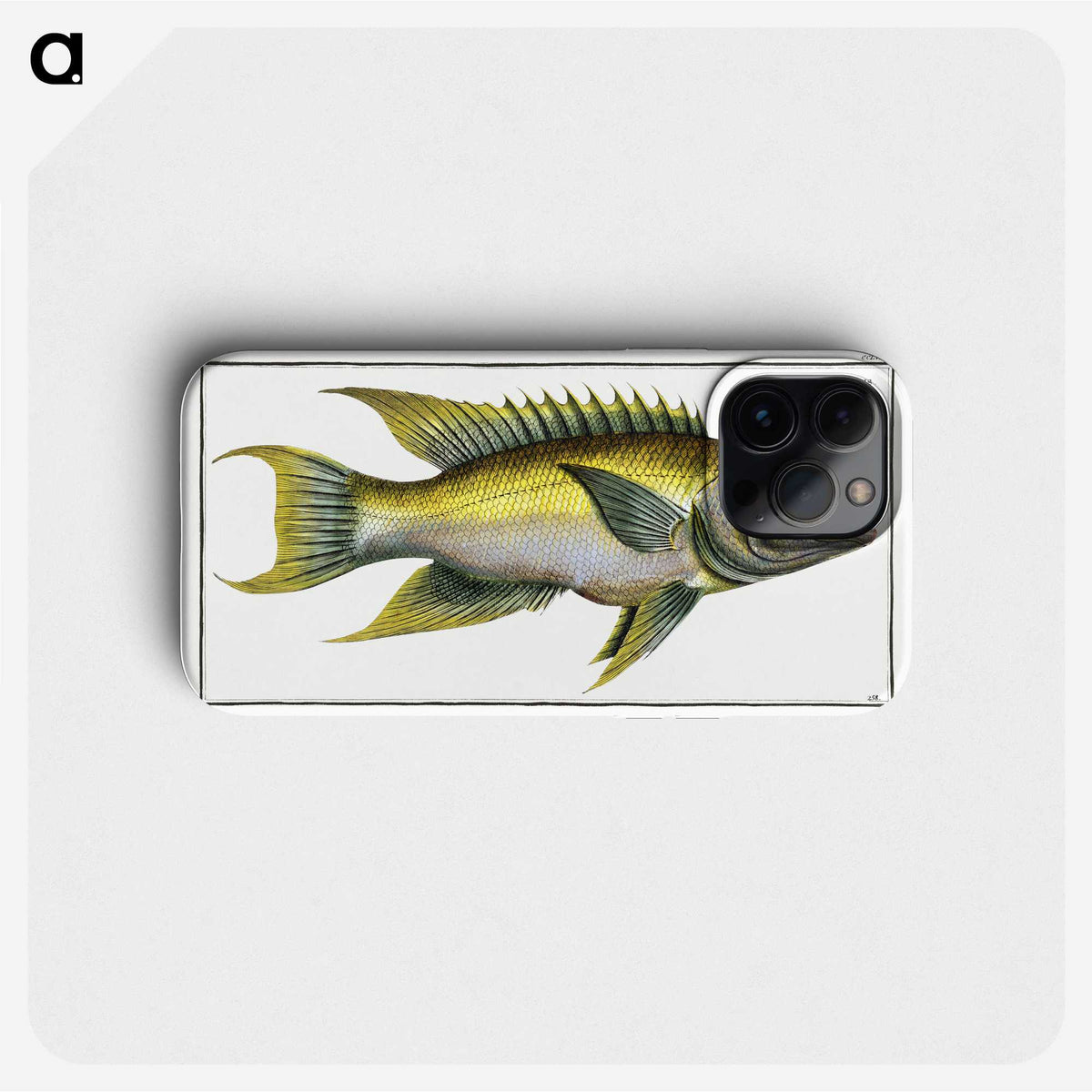 2-3_Ichtyologie-ou-Histoire-naturelle_phone