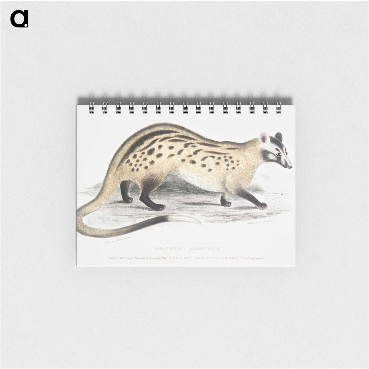 2-3_Indian-Zoology_memo