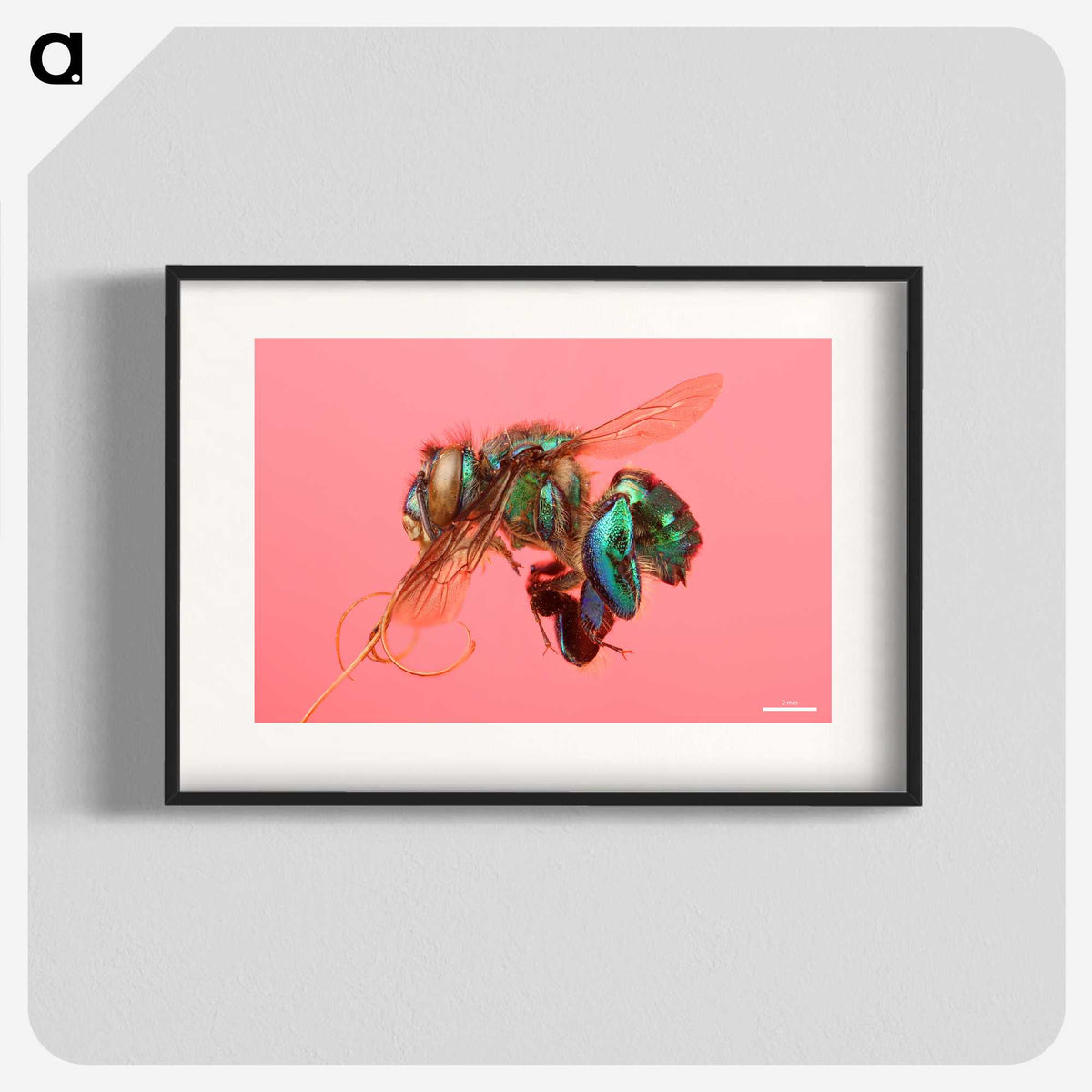 2-3_Insects-Unlocked-Project_blk