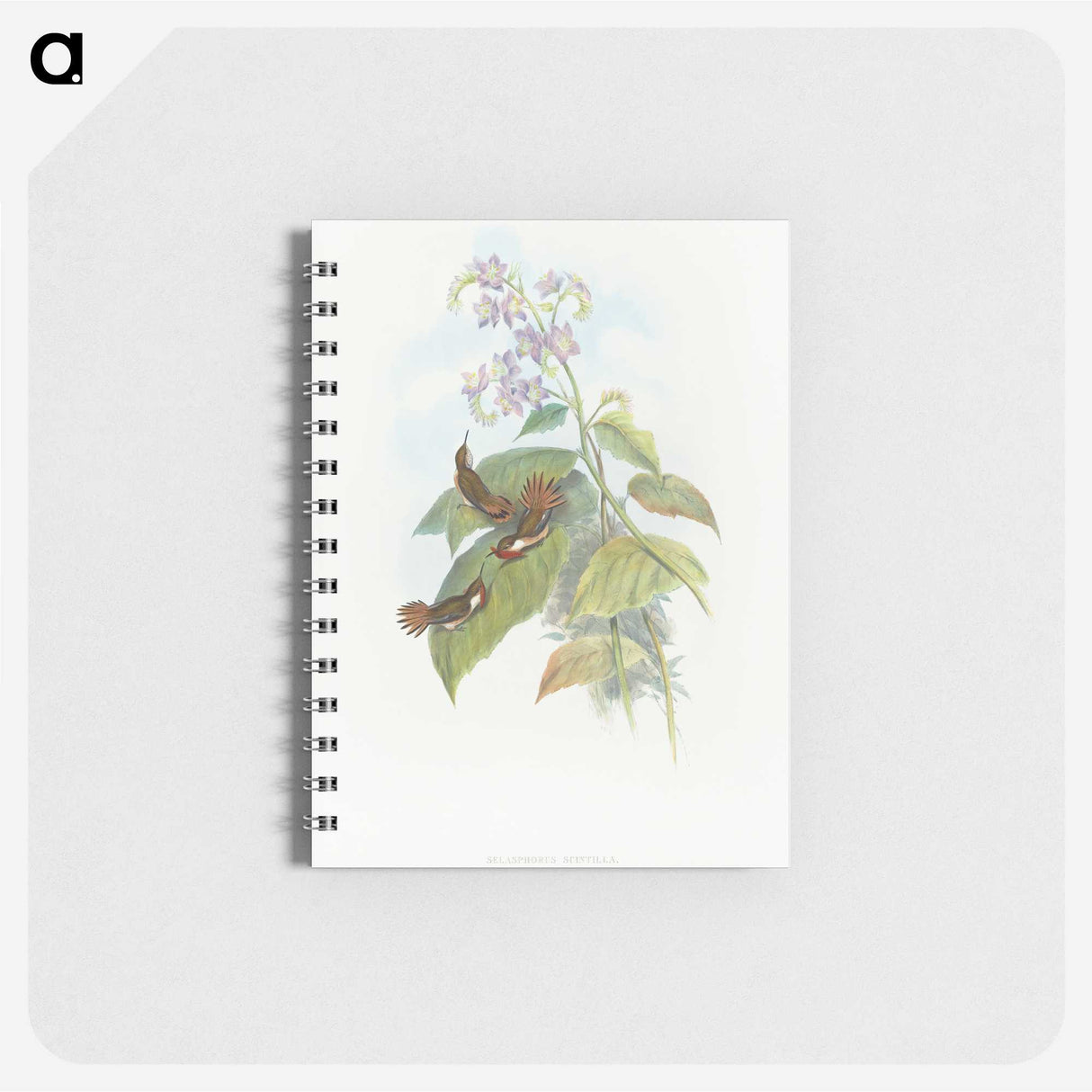2-3_John-Gould_memo