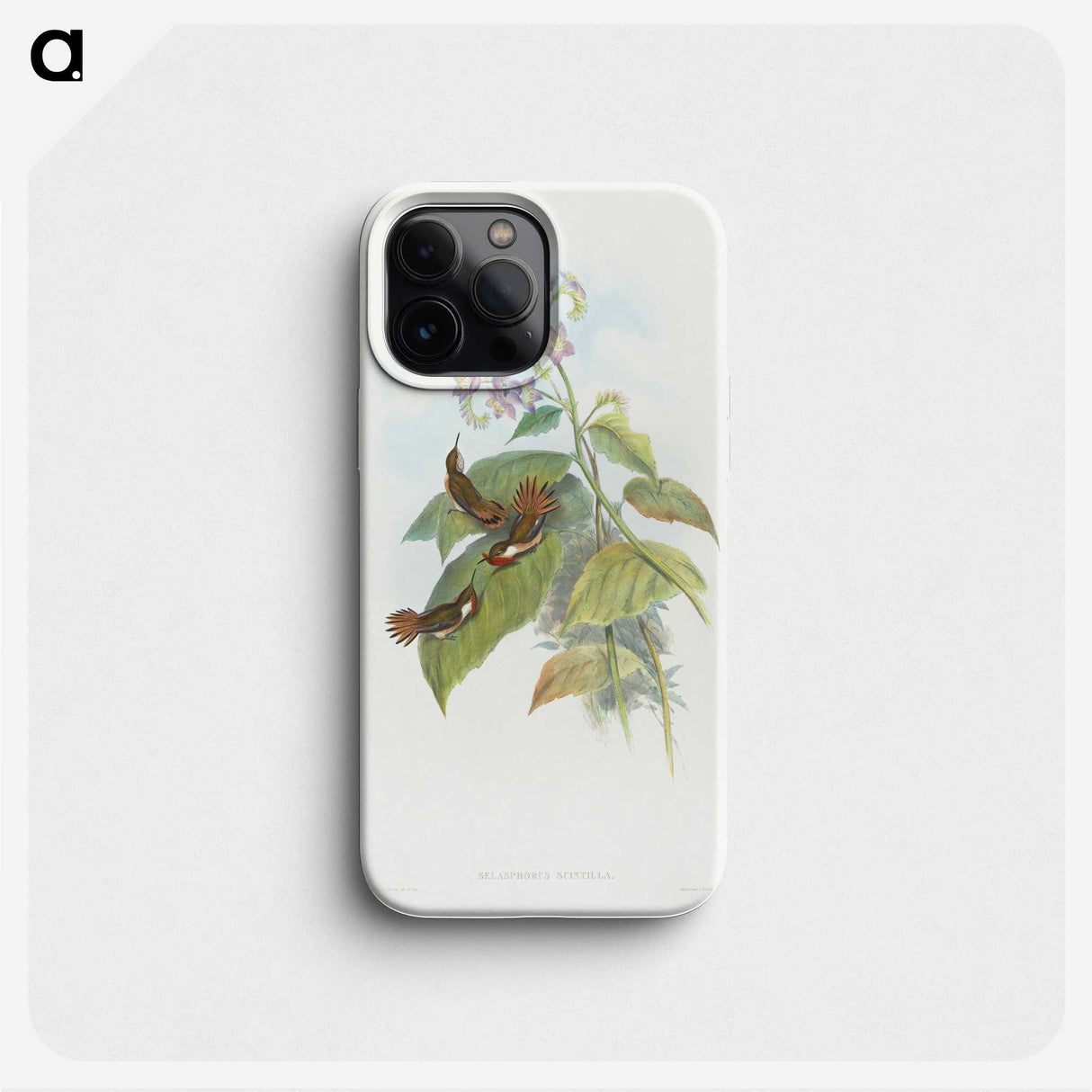 2-3_John-Gould_phone