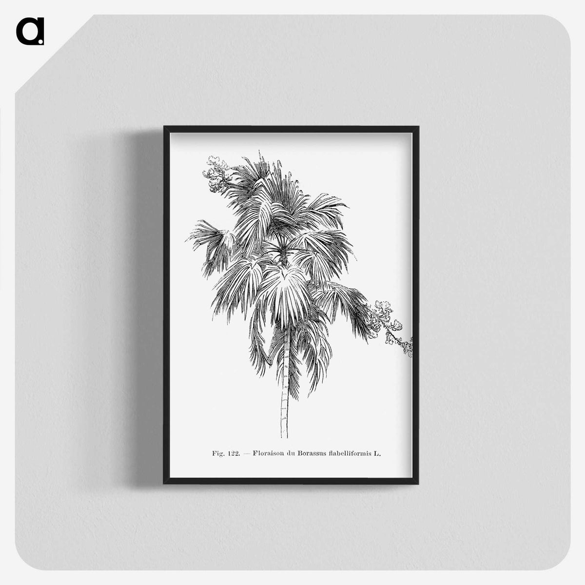 2-3_Les-Palmiers-Histoire-Iconographique_blk-crop