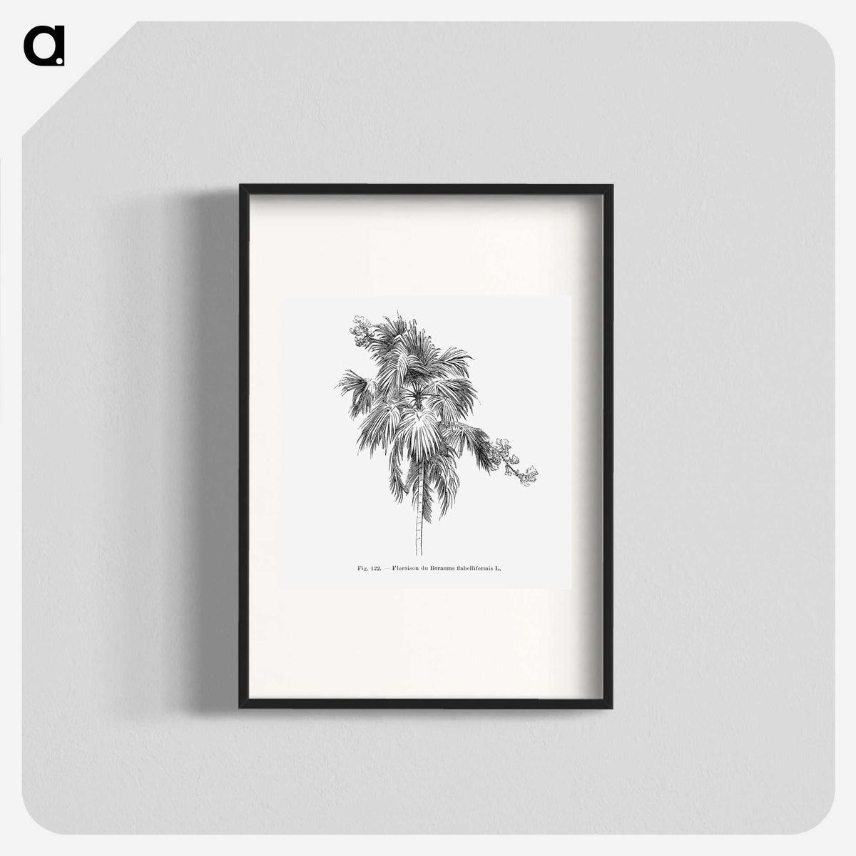 2-3_Les-Palmiers-Histoire-Iconographique_blk