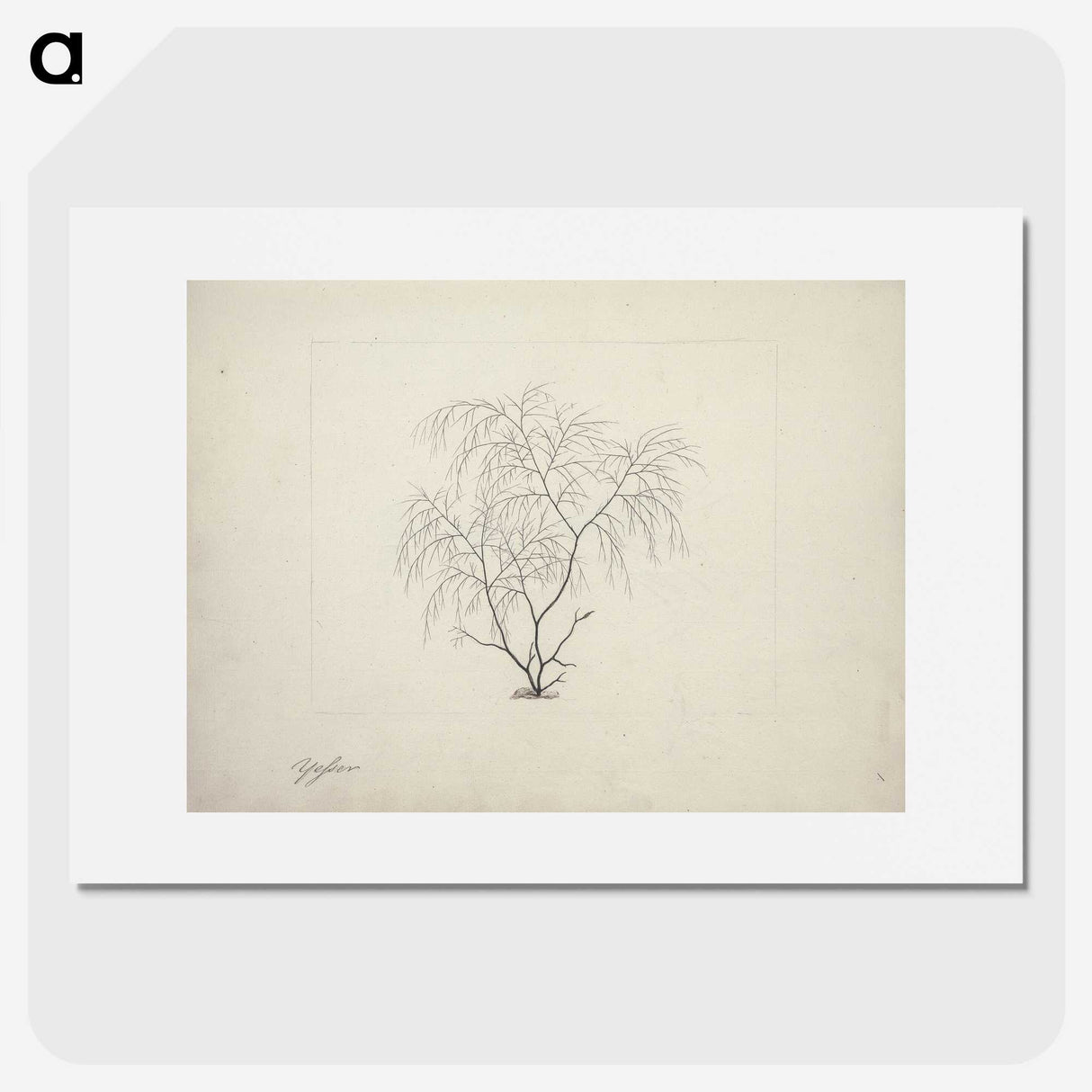 2-3_Luigi-Balugani_picture