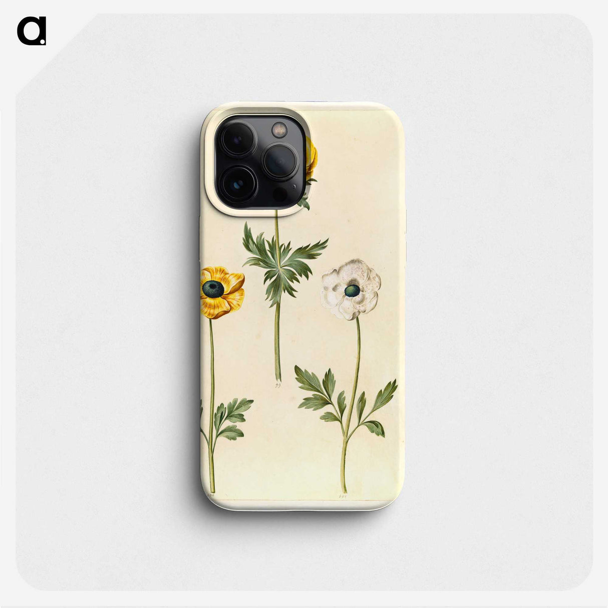 2-3_Maria-Sibylla-Merian_phone
