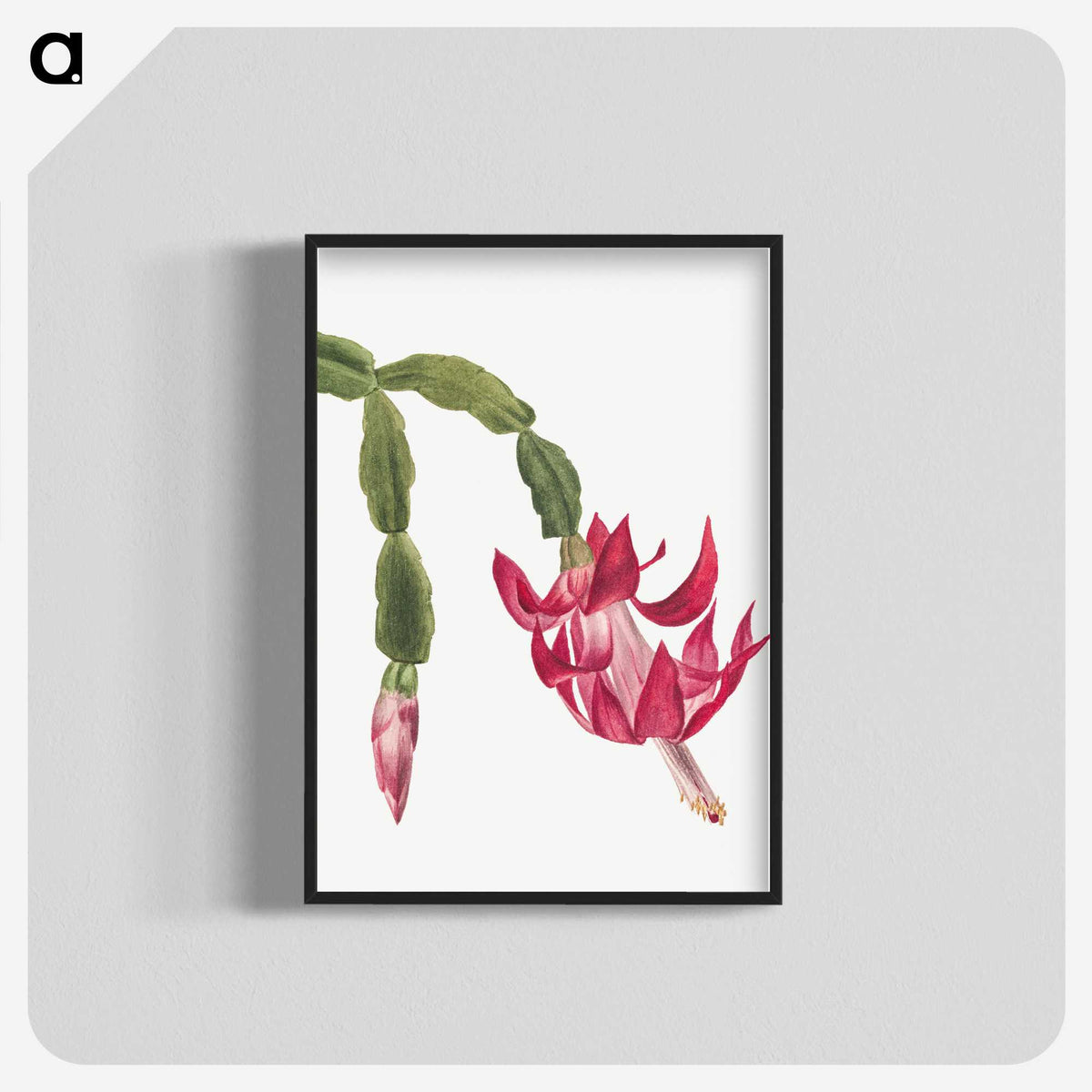 2-3_Mary-Vaux-Walcott_blk-crop