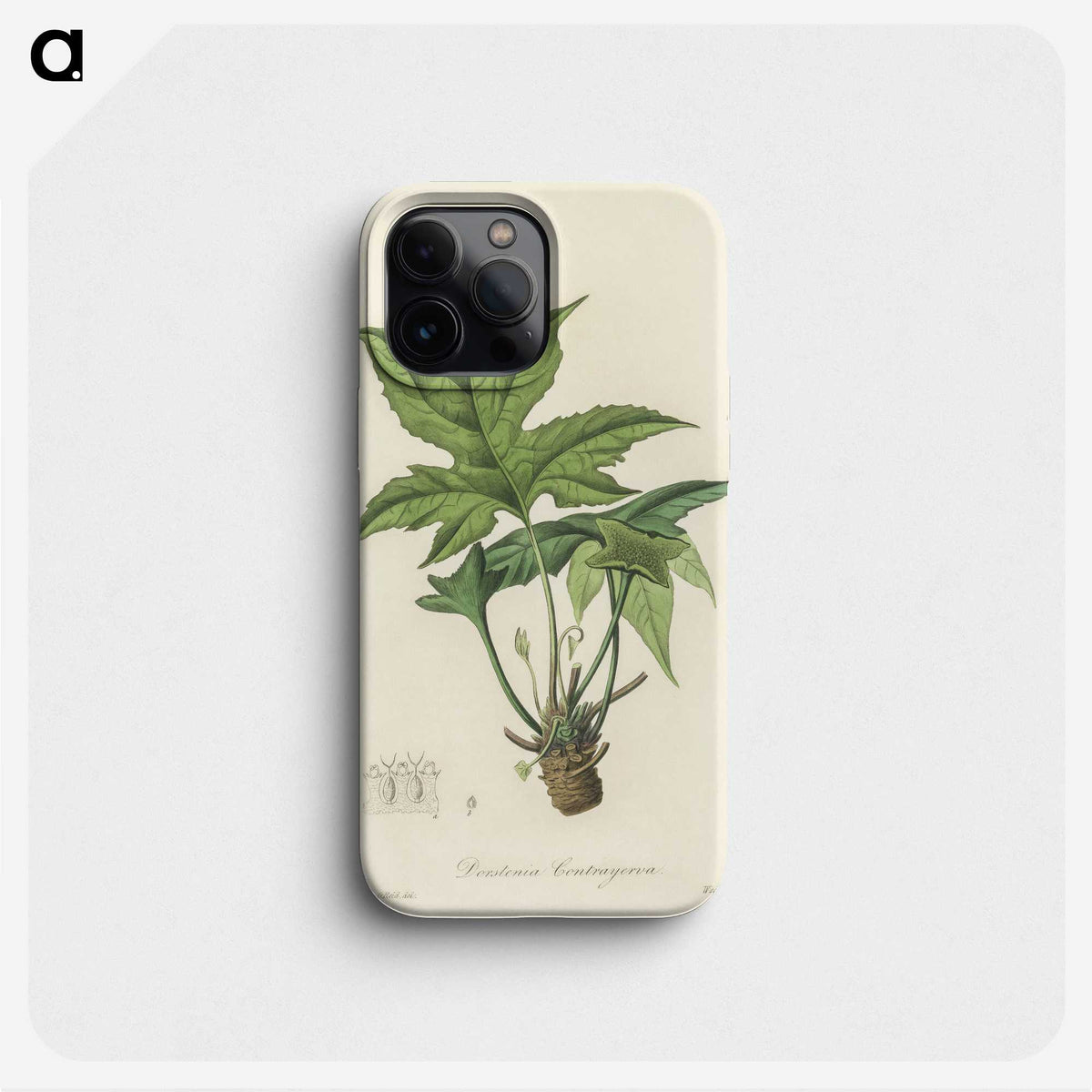 2-3_Medical-Botany_phone