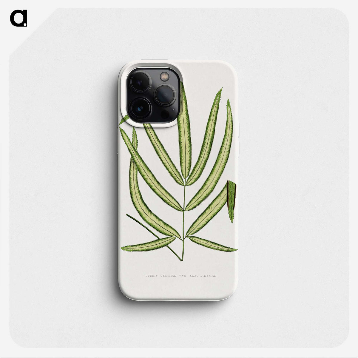2-3_Plants-with-Colored-Foliage_phone