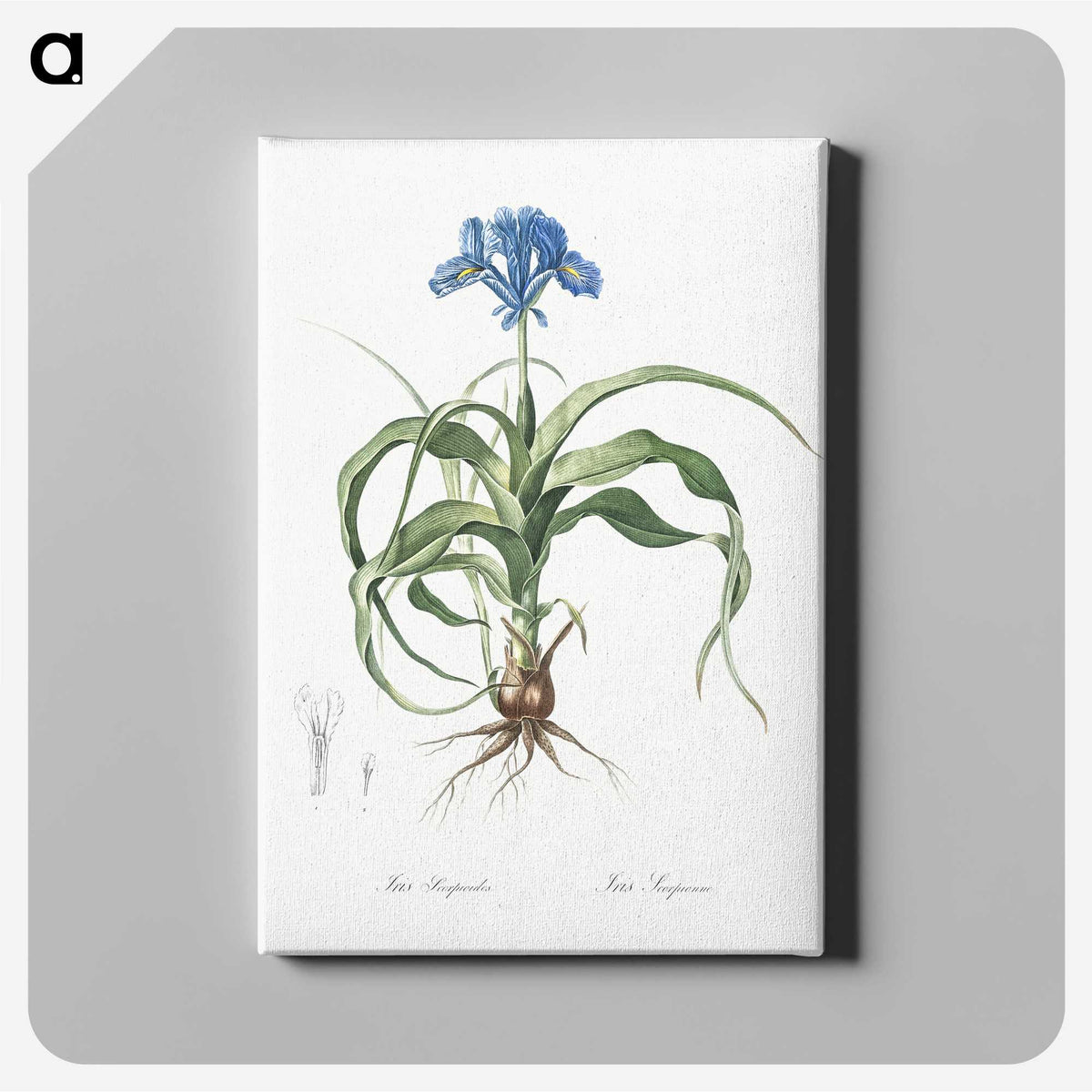 2-3_The-Lilies_canvas