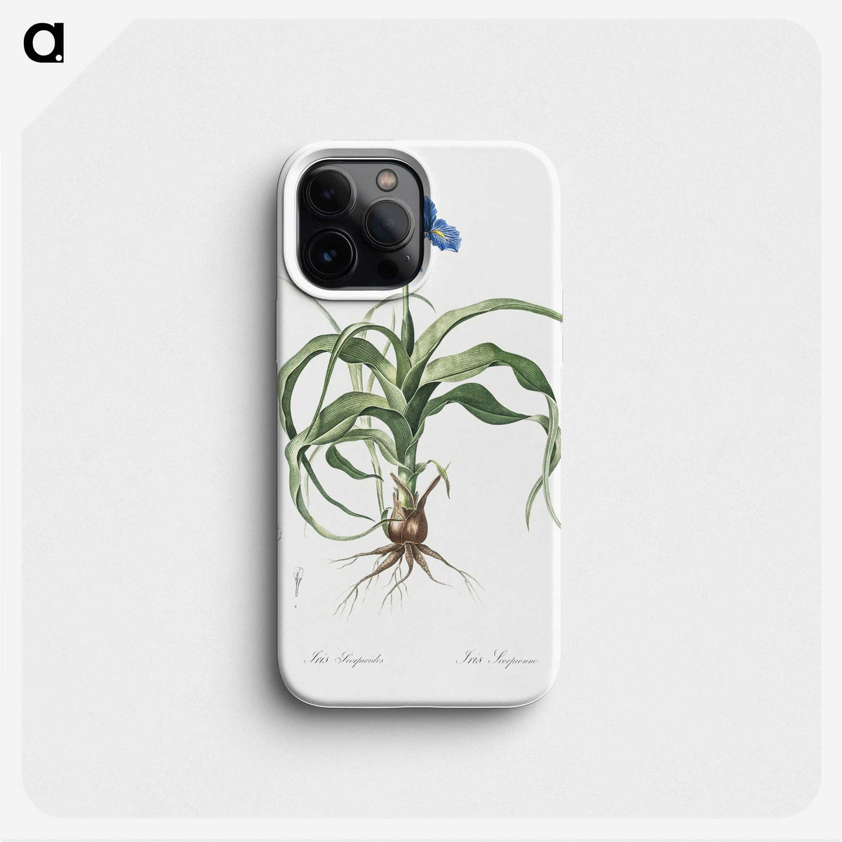 2-3_The-Lilies_phone