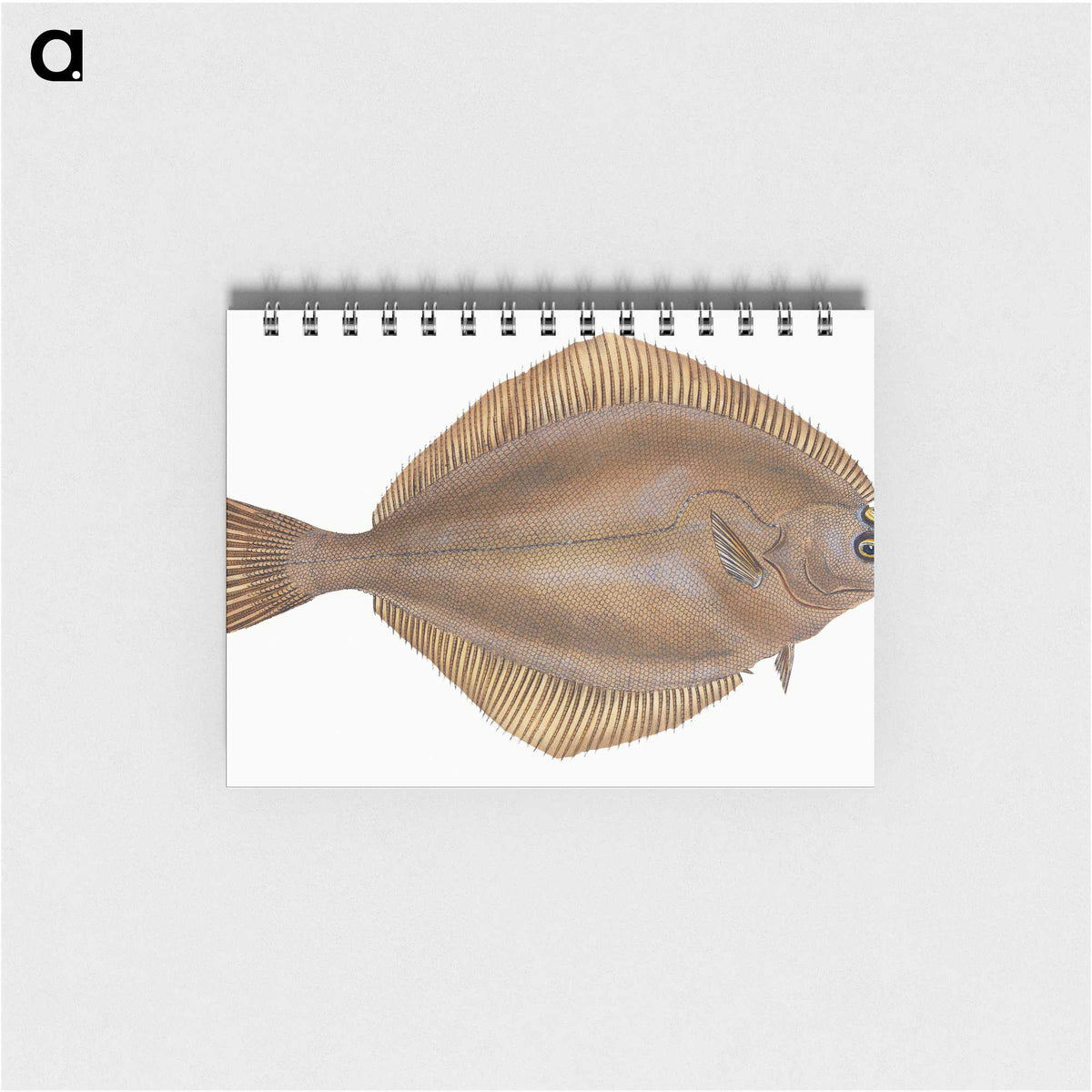 2-3_The-Natural-History-of-British-Fishes_memo