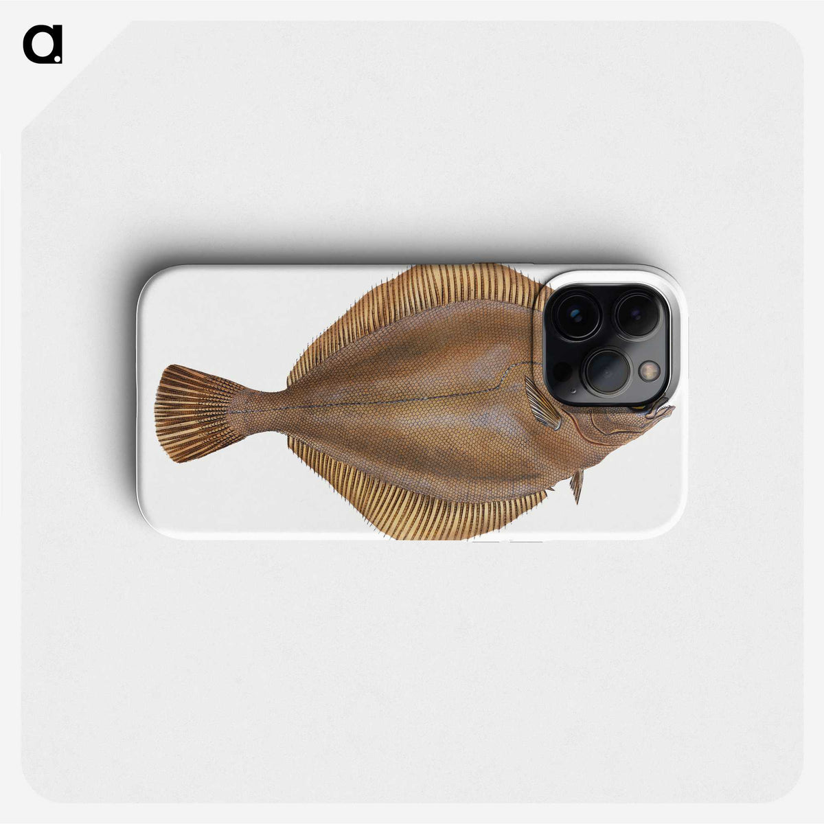 2-3_The-Natural-History-of-British-Fishes_phone