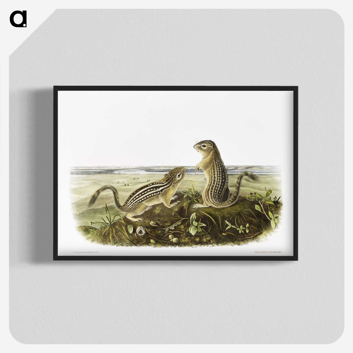 2-3_The-Viviparous-Quadrupeds_blk-crop