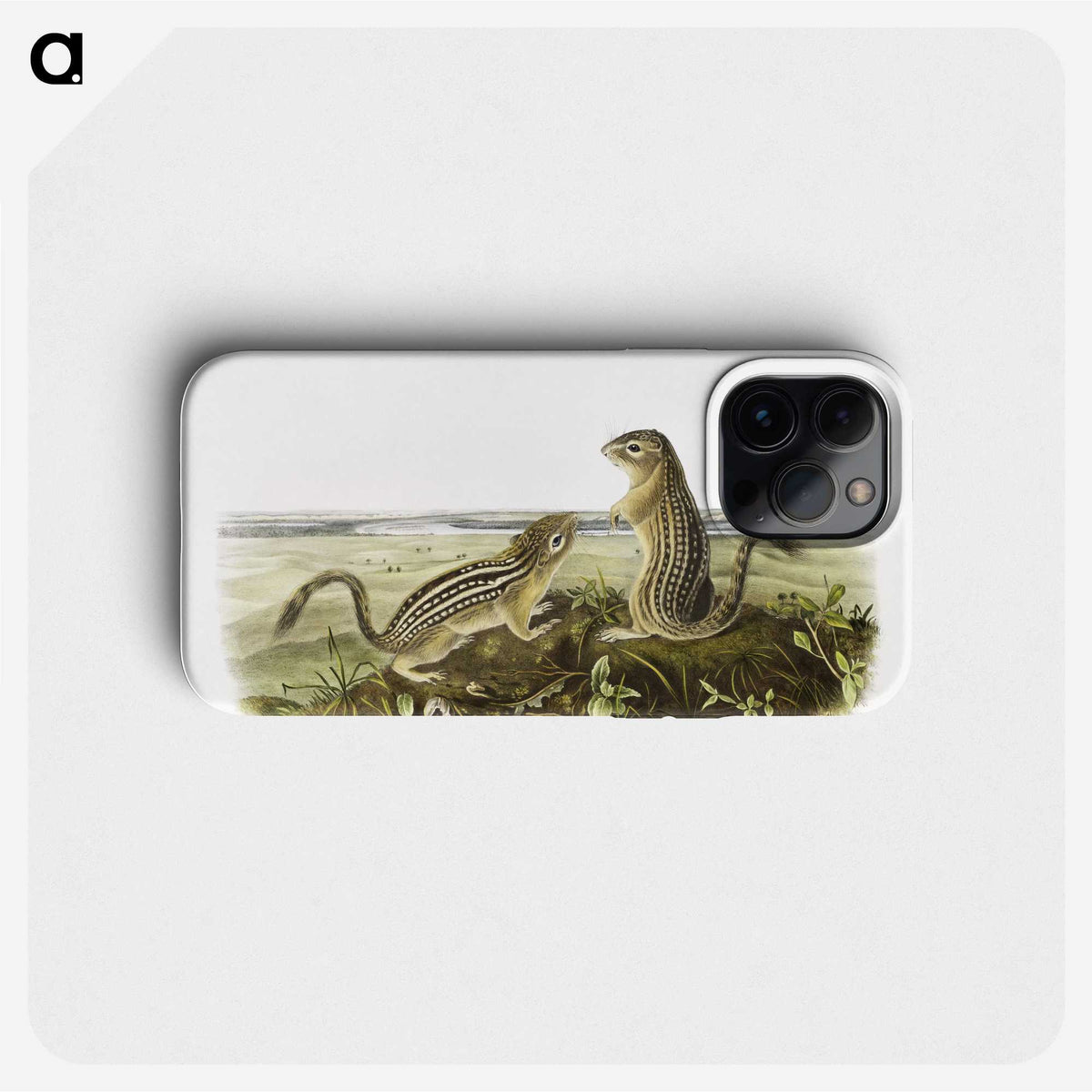 2-3_The-Viviparous-Quadrupeds_phone