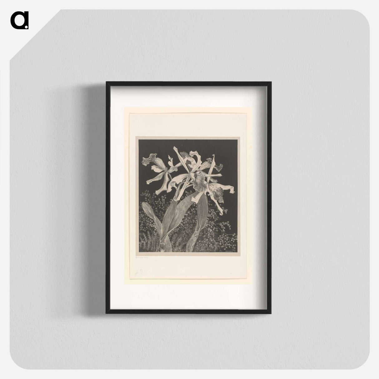 Orchids - Theo Van Hoytema Poster.