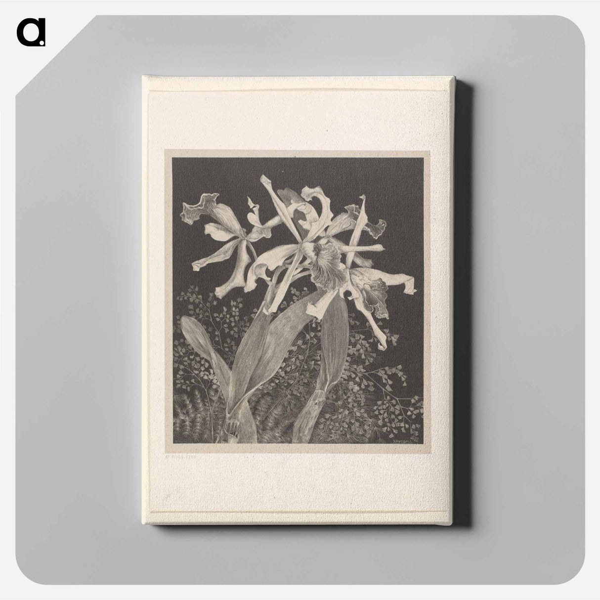 Orchids - Theo van Hoytema Canvas.