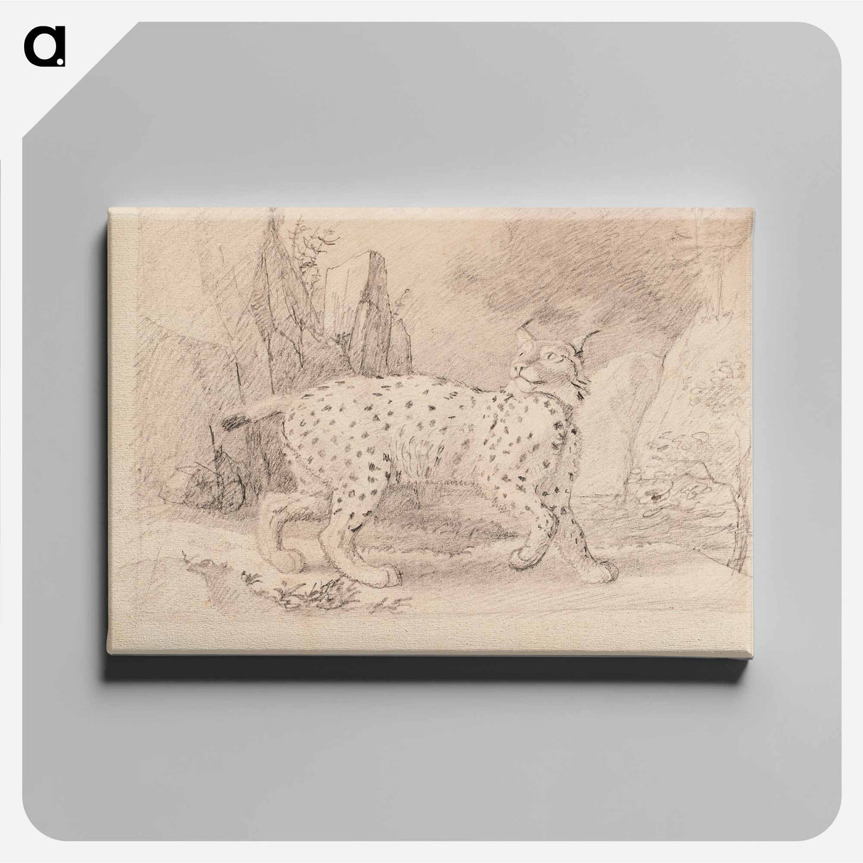 Lynx - Wilhelm von Wright Canvas.
