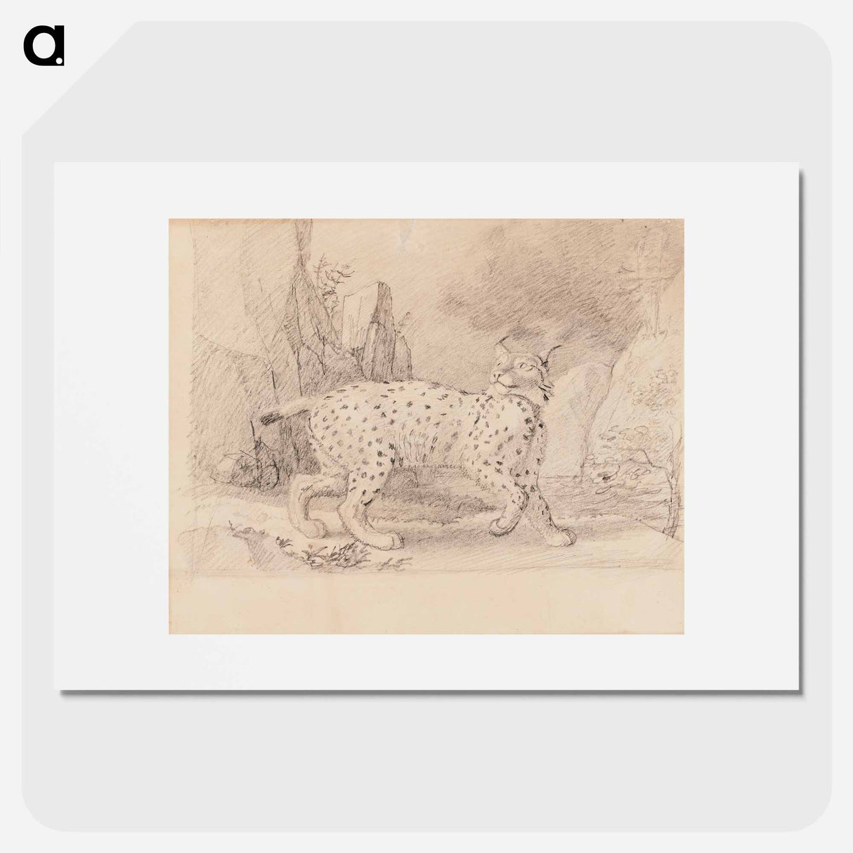 Lynx - Wilhelm von Wright Poster.