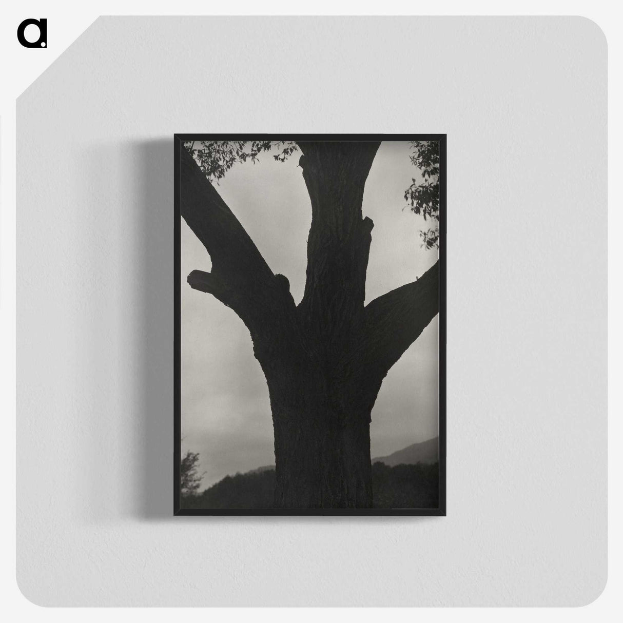 2-40_Alfred-Stieglitz_blk-crop