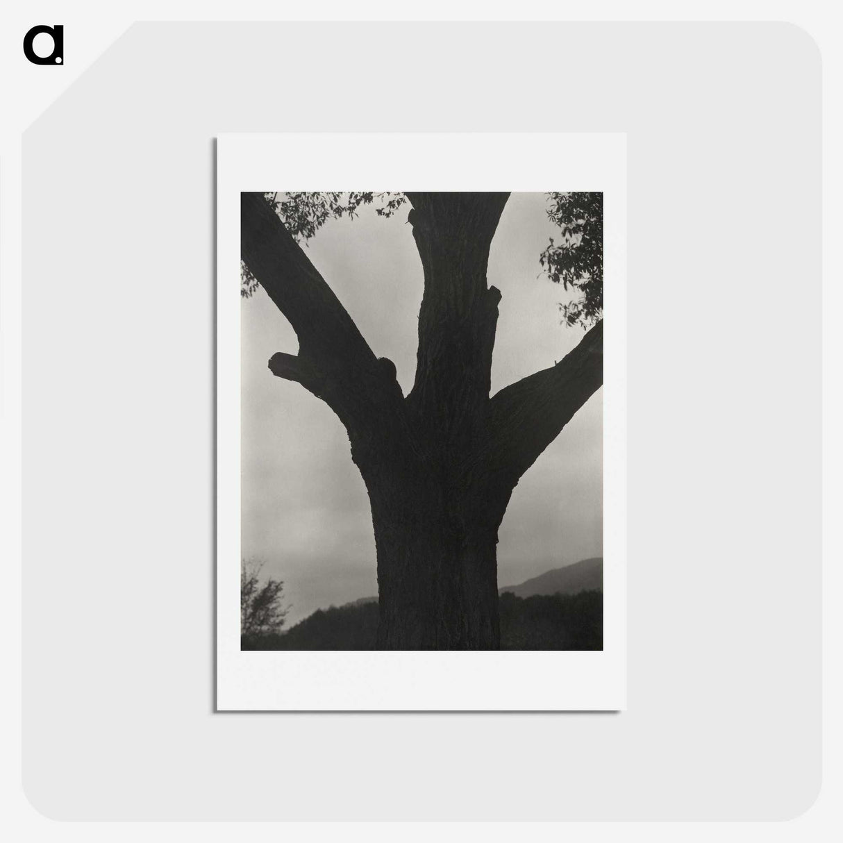 2-40_Alfred-Stieglitz_hagaki
