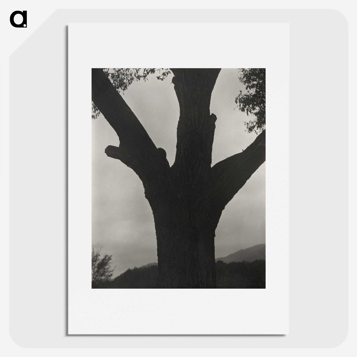 2-40_Alfred-Stieglitz_picture