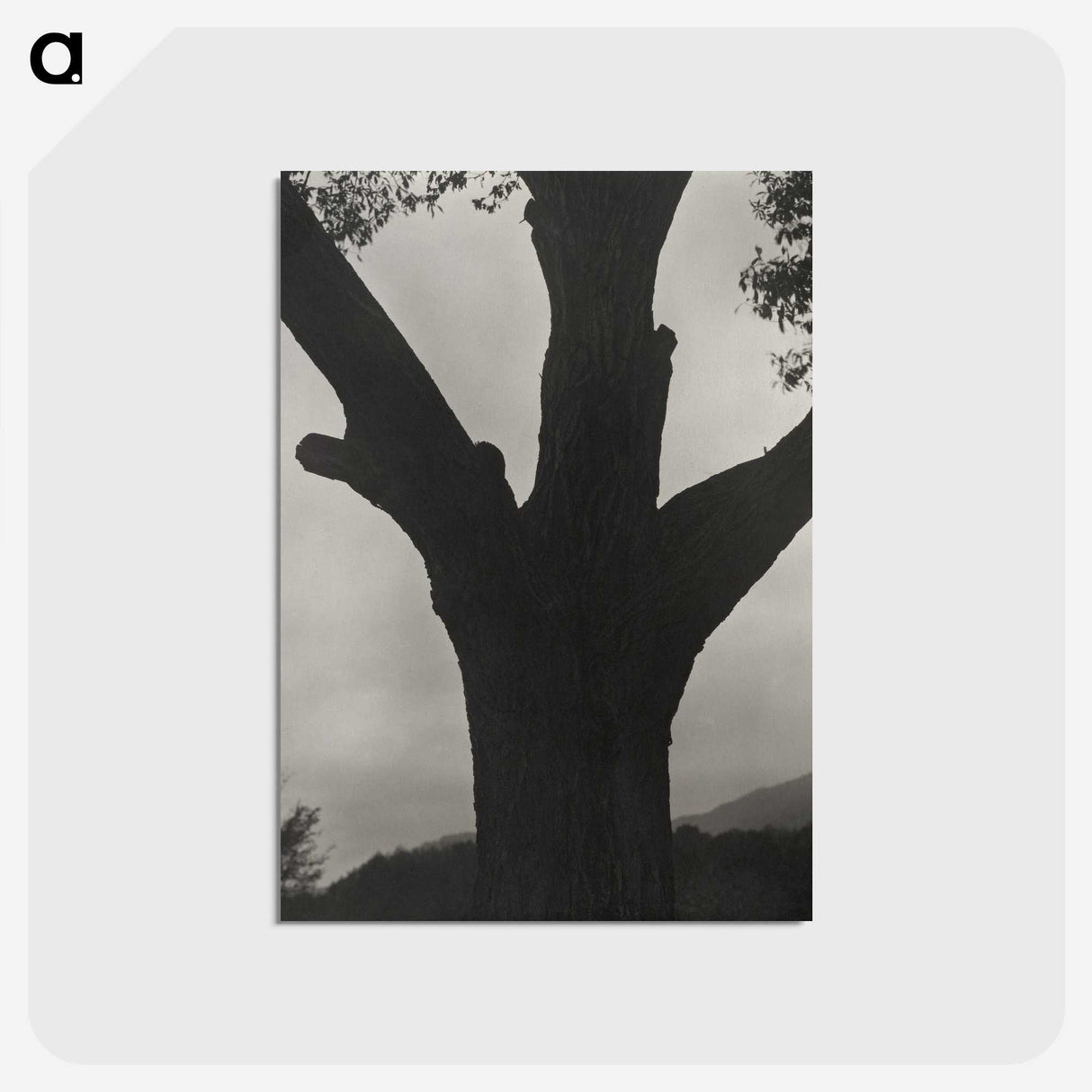 2-40_Alfred-Stieglitz_postcard