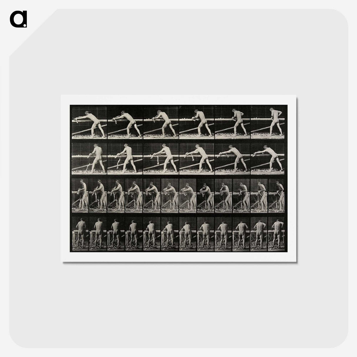 2-40_Eadweard-Muybridge_hagaki