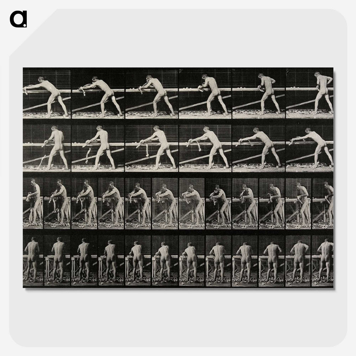 2-40_Eadweard-Muybridge_picture-crop