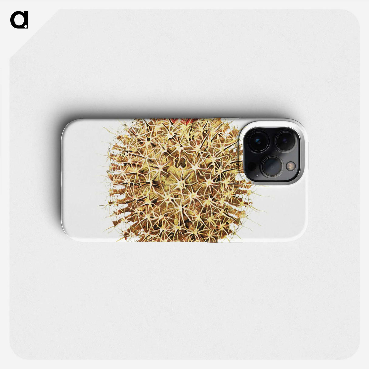 2-40_Ernst-Haeckel_phone