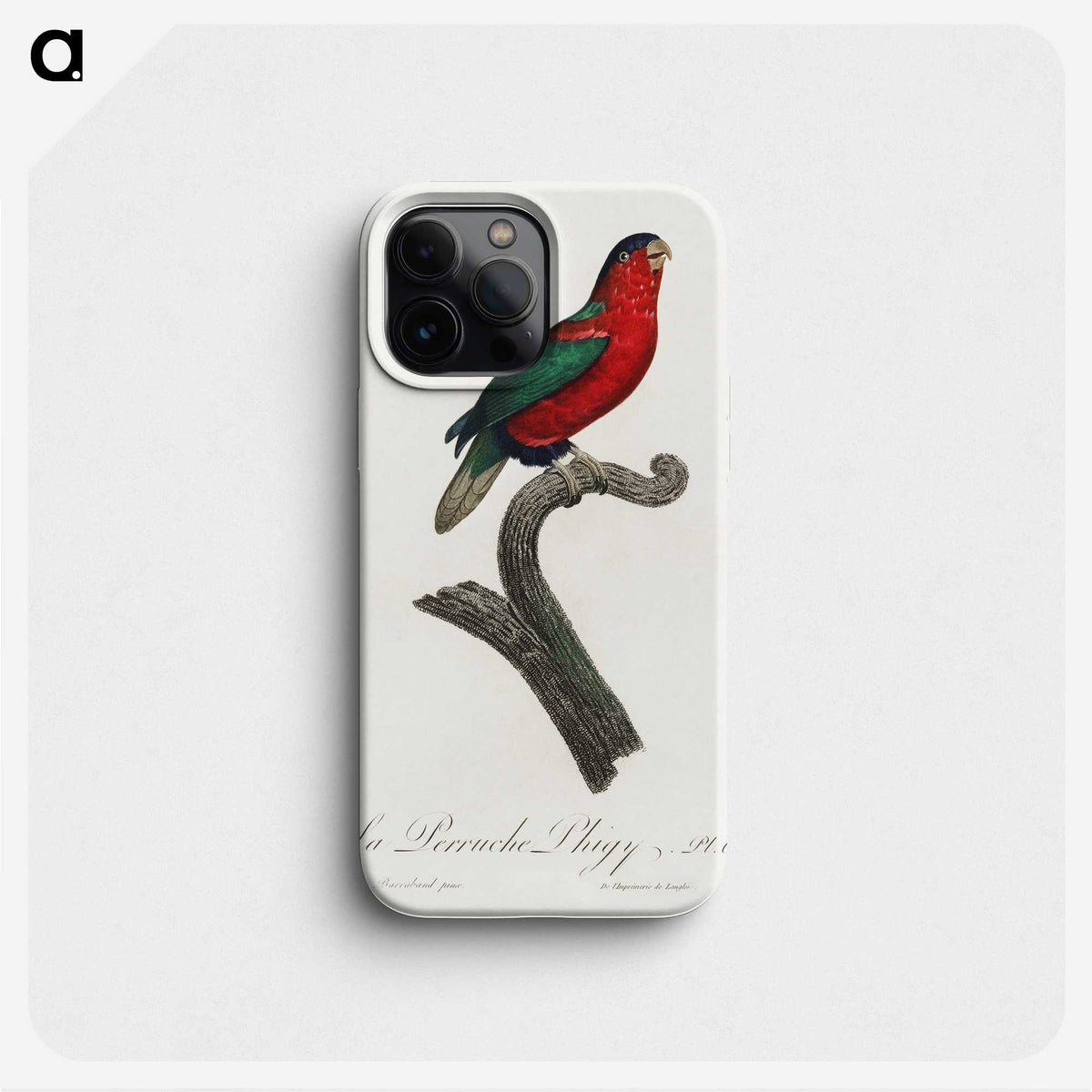 2-40_Francois-Levaillant_phone