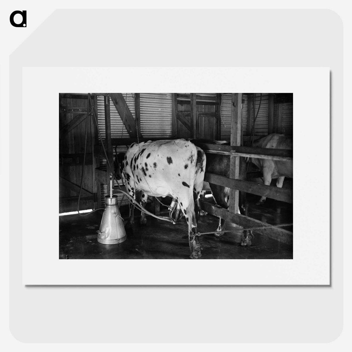 2-40_Frederick-Charles-Brockett_picture