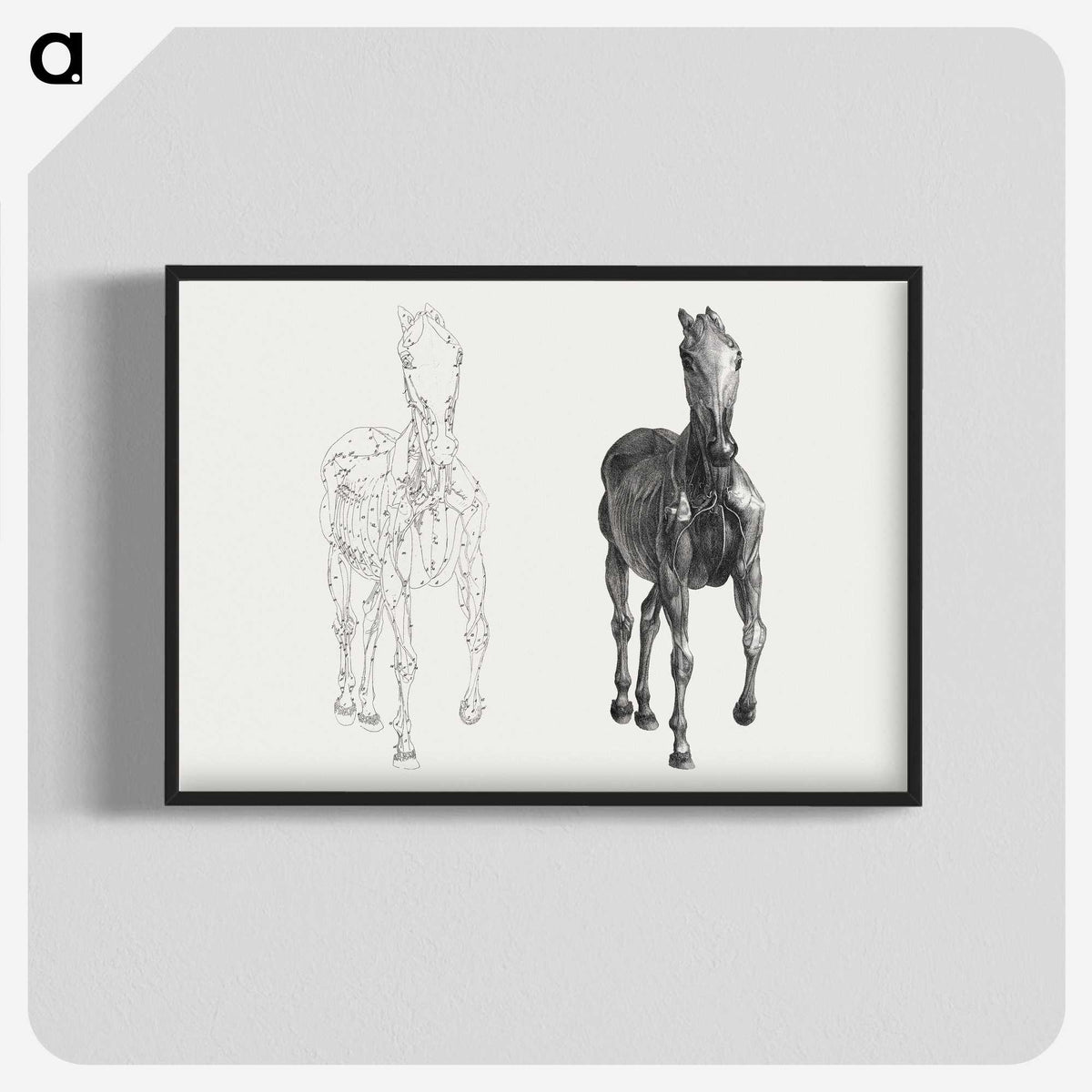 2-40_George-Stubbs_blk-crop