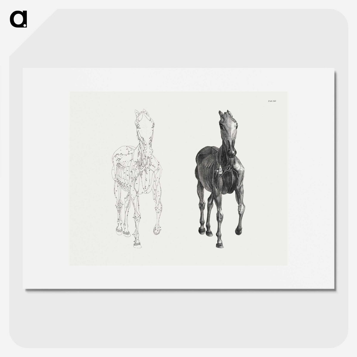 2-40_George-Stubbs_picture