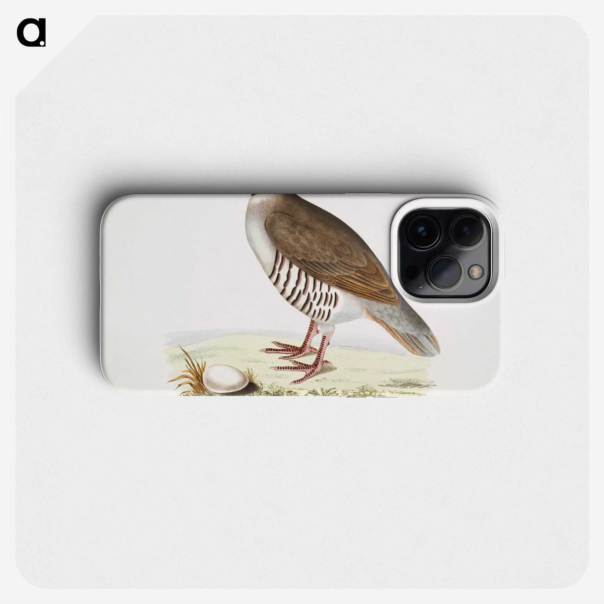 2-40_Indian-Zoology_phone