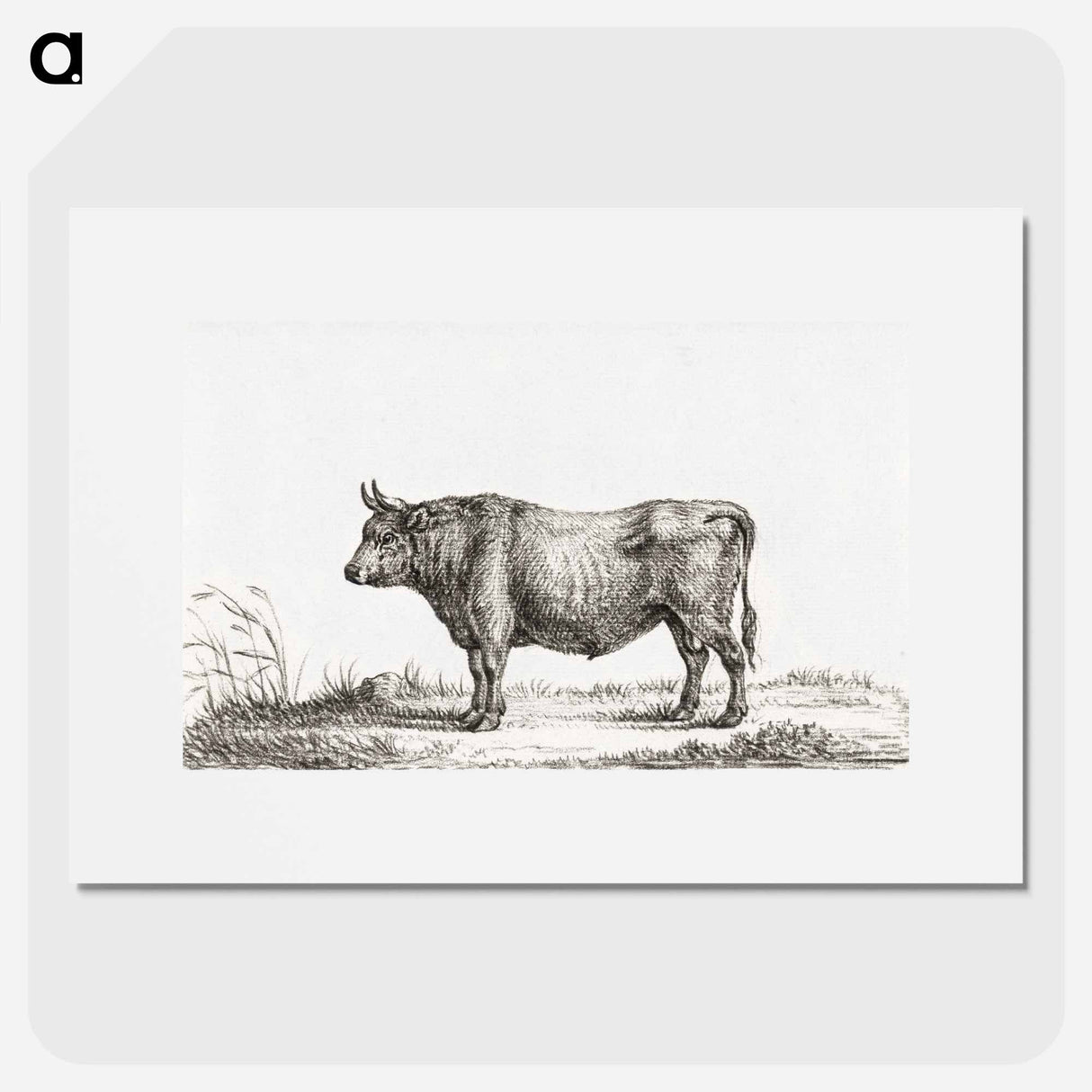 Standing bull - ジャン ベルナール Poster.