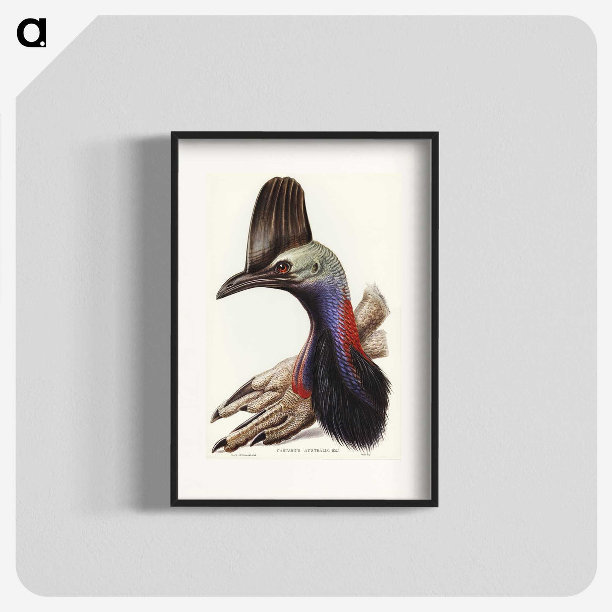 2-40_John-Gould_blk