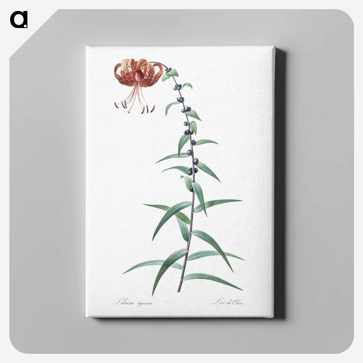 2-40_The-Lilies_canvas