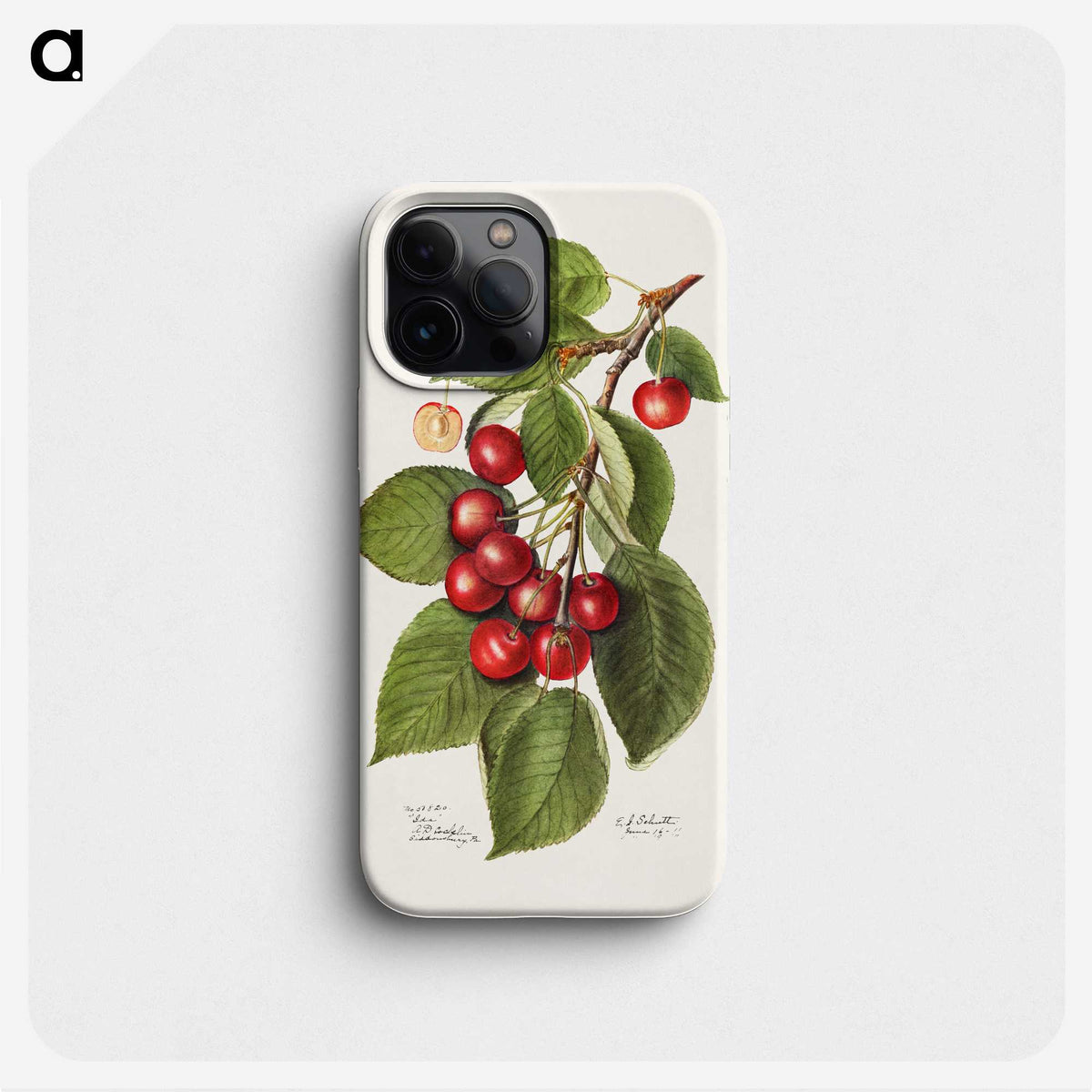 2-40_USDA-Watercolor-Fruit-Painting-Collection_phone