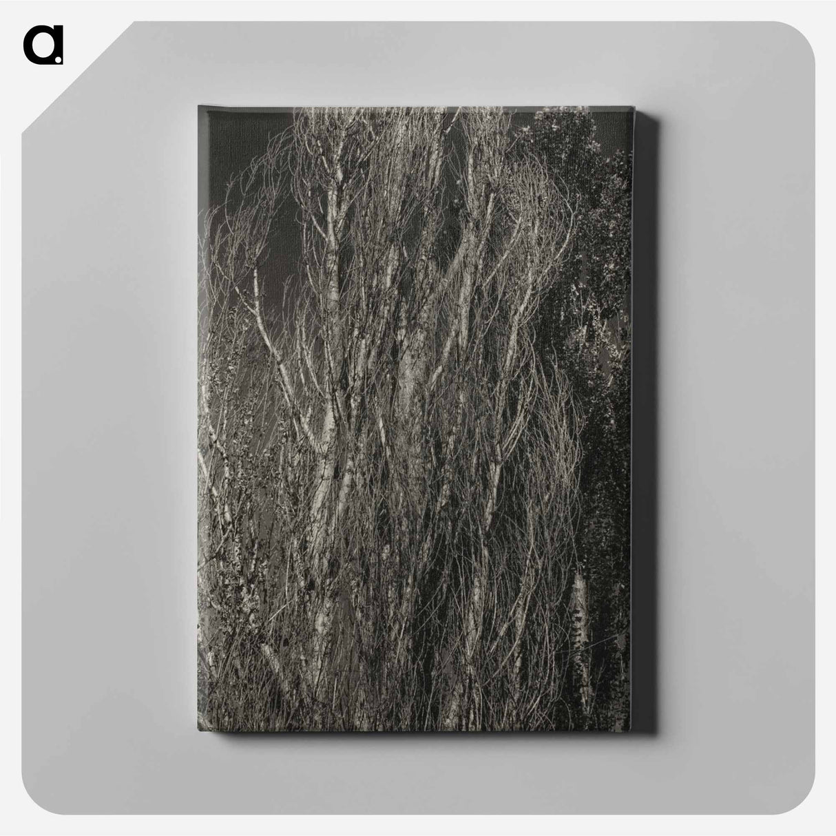 Poplars—Lake George - アルフレッド スティーグリッツ Canvas.