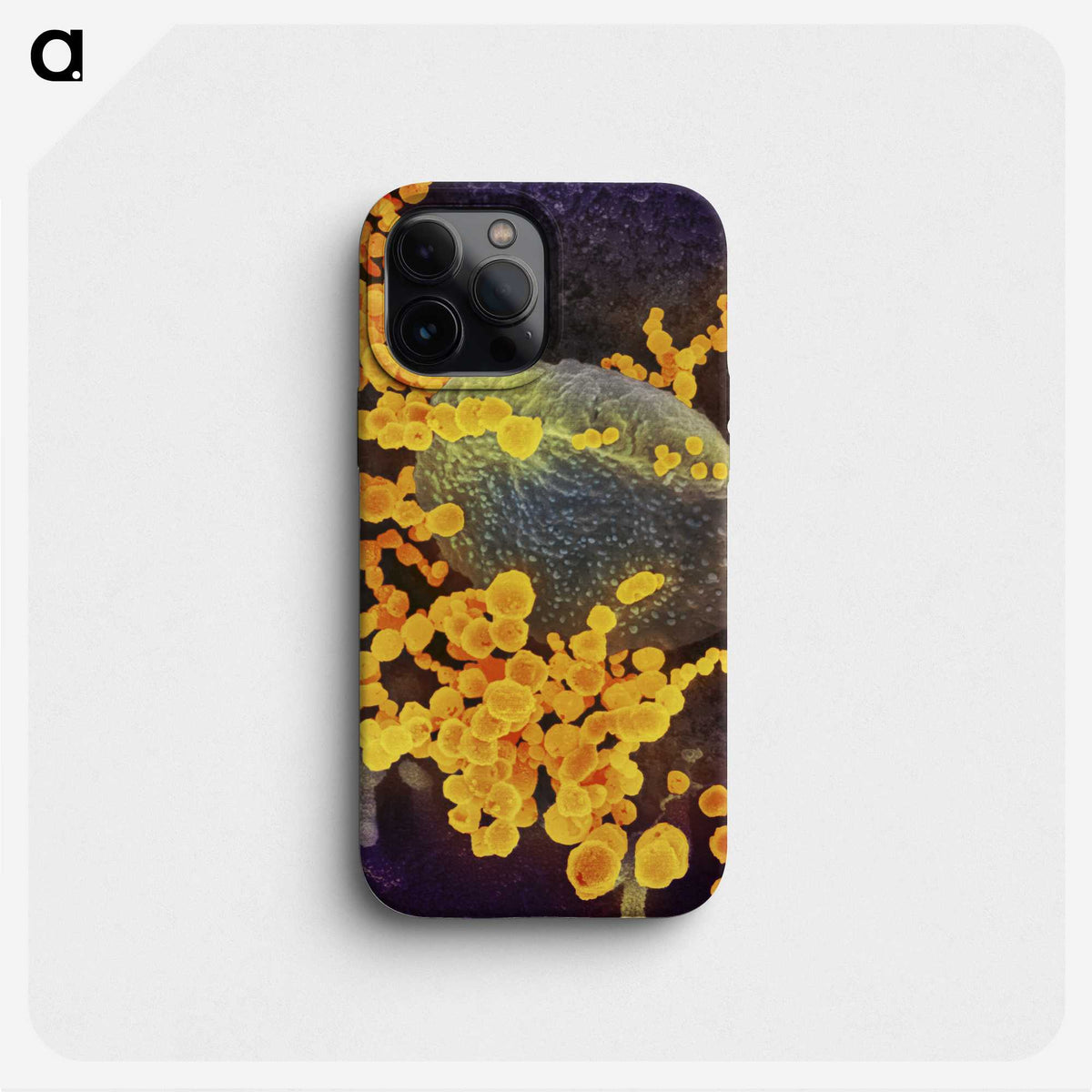 2-41_COVID-19_phone
